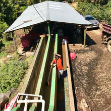 Load image into Gallery viewer, San Jose Natural Caturra, Nicaragua
