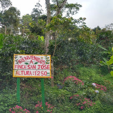 Load image into Gallery viewer, San Jose Natural Caturra, Nicaragua
